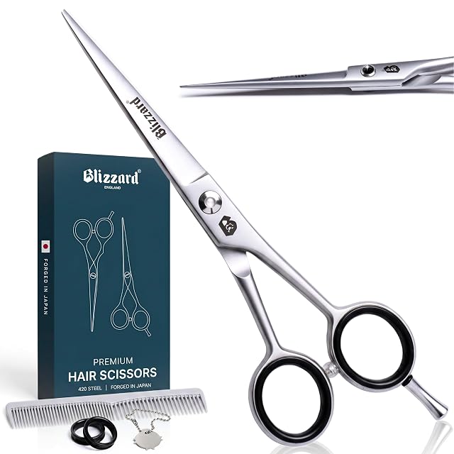 Coffret de ciseaux professionnels Blizzard en acier japonais 420 avec peigne et étui